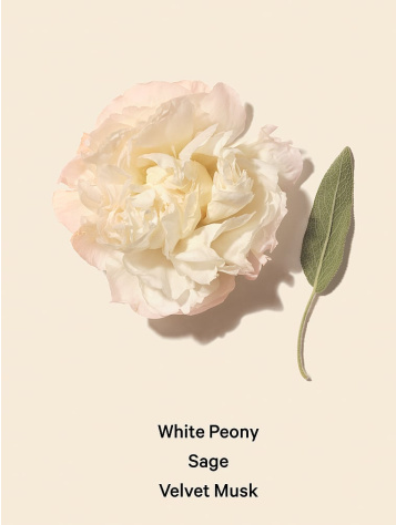 Parfem Bombshell Seduction 50 ml